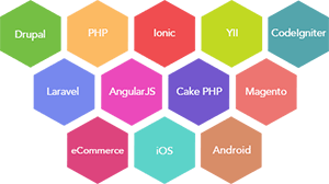 Web Development Services