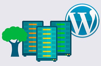 Cheap Web Hosting Services